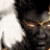 Raiden